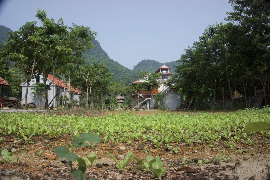Ho Khanh'S Homestay Phong Nha Dış mekan fotoğraf