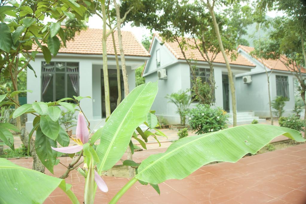 Ho Khanh'S Homestay Phong Nha Dış mekan fotoğraf