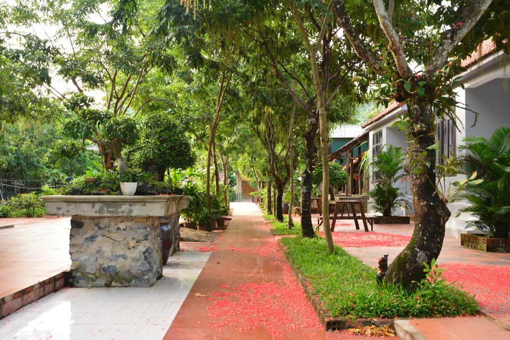 Ho Khanh'S Homestay Phong Nha Dış mekan fotoğraf